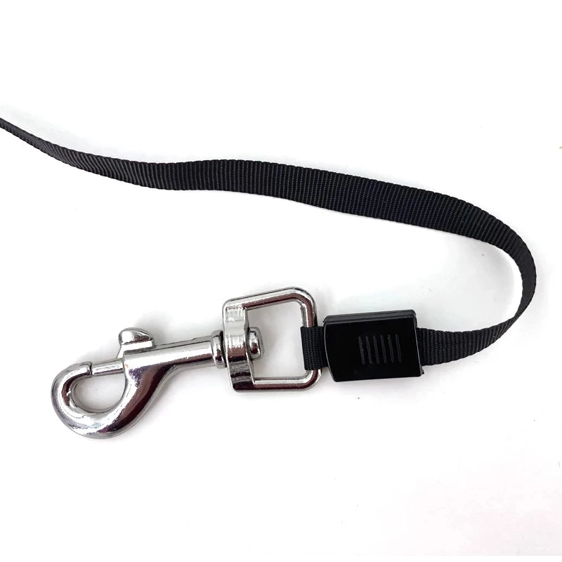 Retractable Dog Leash – 3m/5m | Strong, Tangle-Free & Flexible